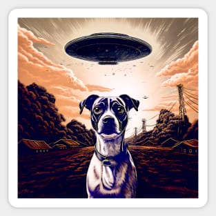 UFOs: My Dog Thinks UFOs Are Real Sticker